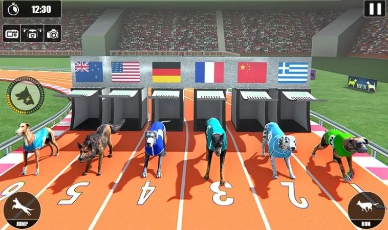 Cách chơi game nhanh Đua Chó King88