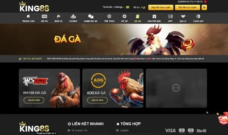 Sảnh đá gà King88 thiết kế giao diện đẹp, chuyên nghiệp
