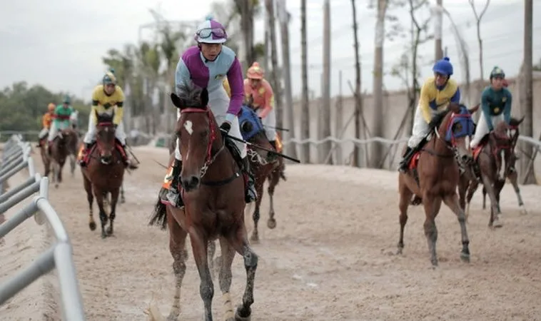 Chinh Phục Đấu Trường Cá Cược Đua Ngựa King88 Với Chiến Thuật Bất Bại 1 Đua ngựa King88