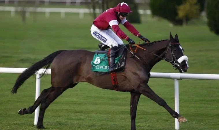 Chinh Phục Đấu Trường Cá Cược Đua Ngựa King88 Với Chiến Thuật Bất Bại 2 Cần tìm hiểu về bộ môn Đua ngựa King88 trước khi cá cược